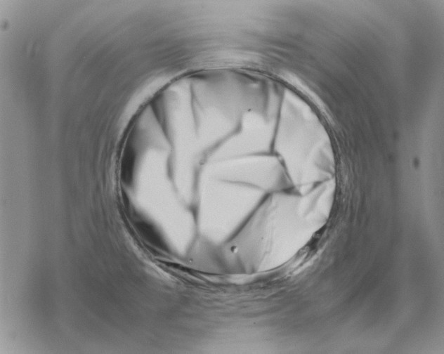 X0000077341477200611171820