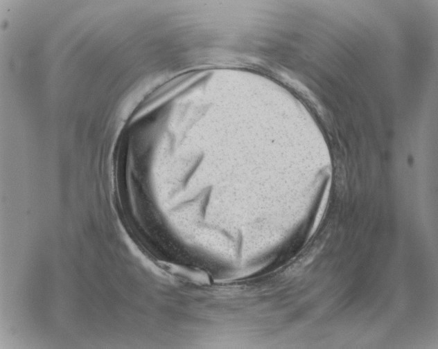 X0000077341479200611171820