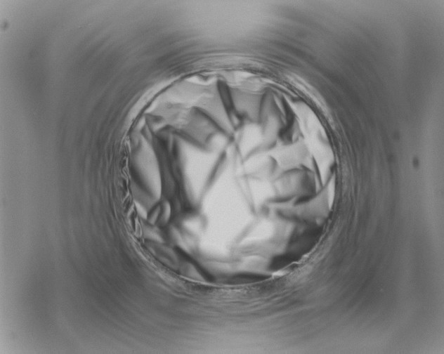 X0000077341481200611171820