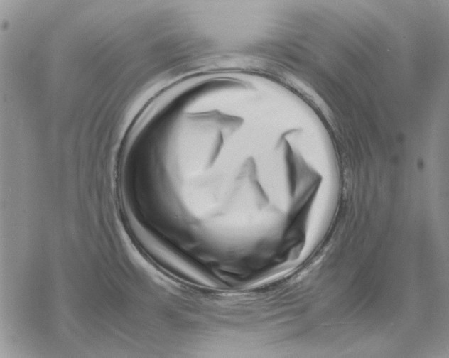 X0000077341483200611171820