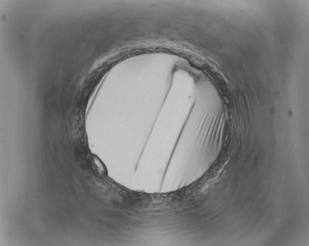X0000077341494200611171819