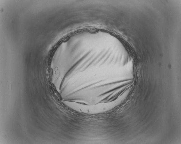 X0000077341496200611171819