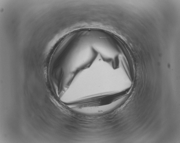 X0000077341503200611171819