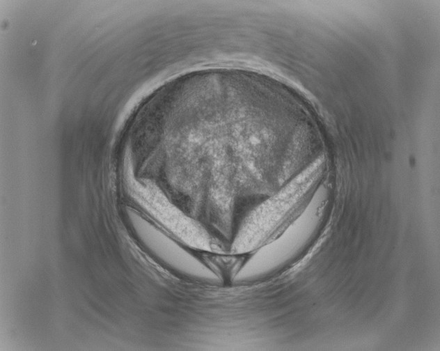 X0000077341506200611171819