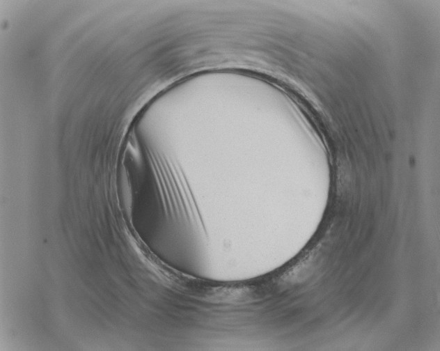 X0000077341513200611171819