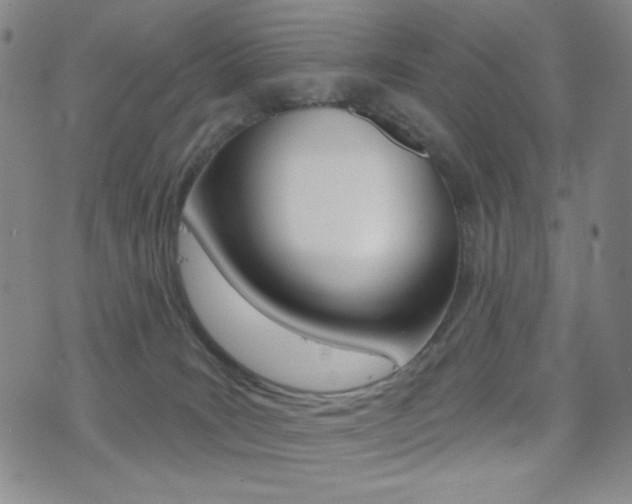 X0000077350035200610200926