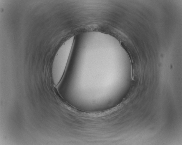 X0000077350037200610200926