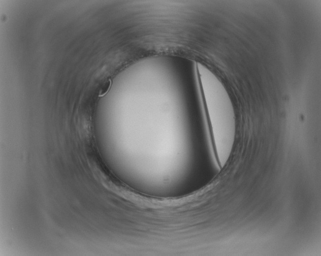 X0000077350039200610200926