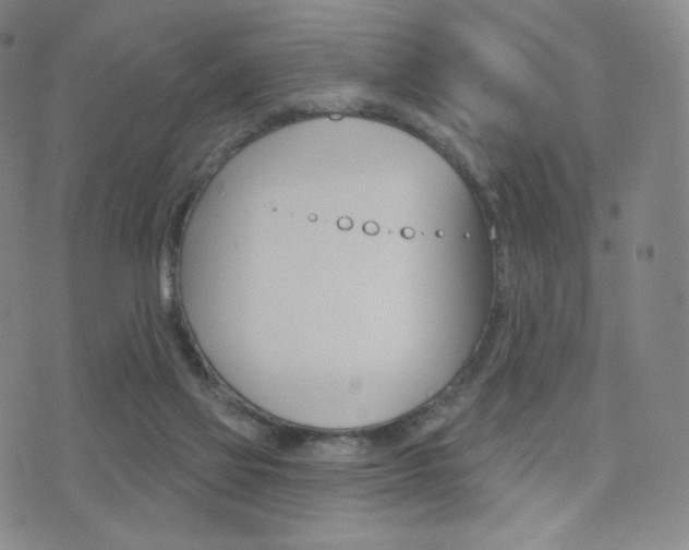X0000077350069200610200925