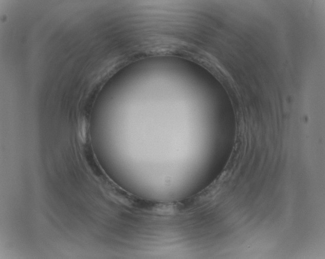 X0000077350076200610200926