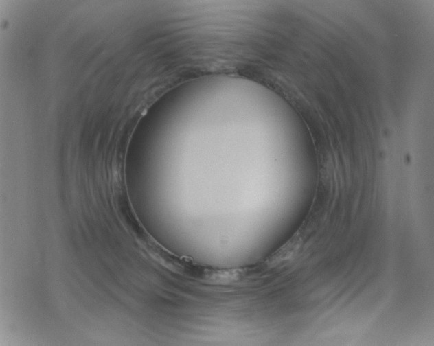 X0000077350084200610200926