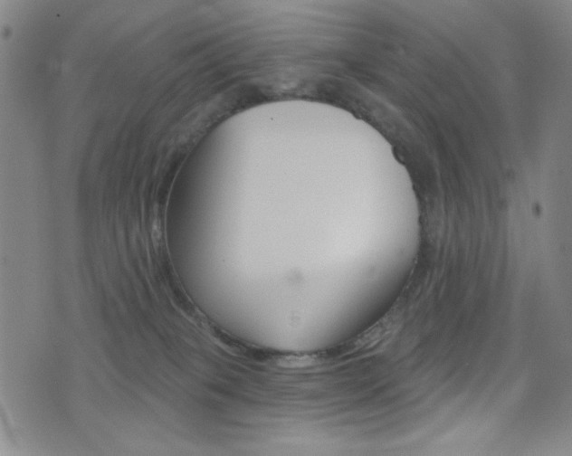 X0000077350085200610200926