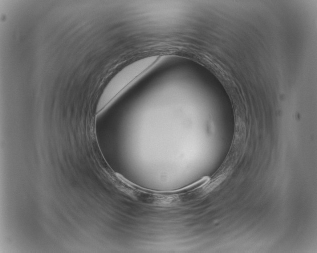 X0000077350096200610200926