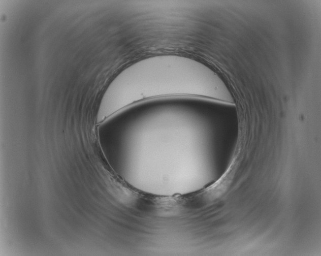 X0000077350192200610200924