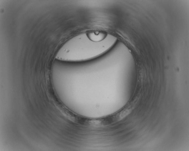 X0000077350265200610200922