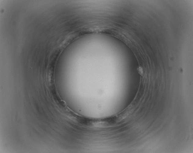 X0000077350268200610200922