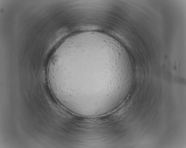 X0000077350351200610200921