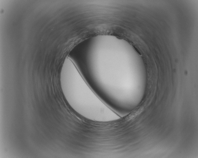 X0000077350432200610200920