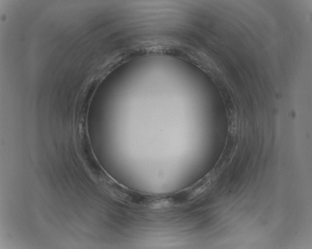 X0000077350456200610200919