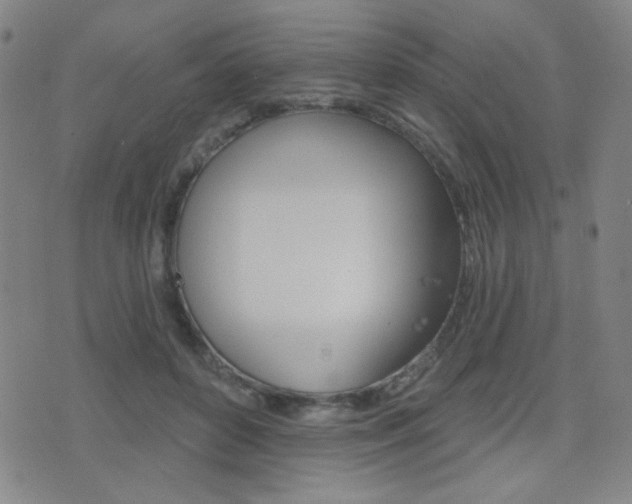 X0000077350504200610200919