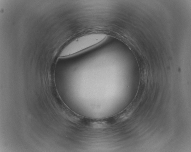 X0000077350508200610200918