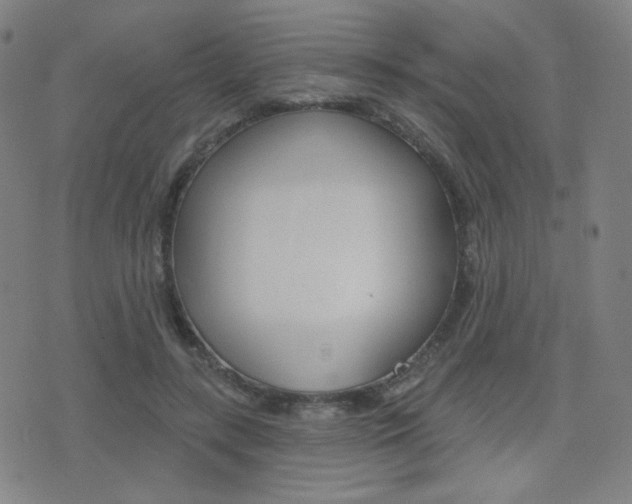 X0000077350547200610200918