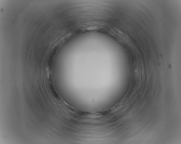 X0000077350555200610200918