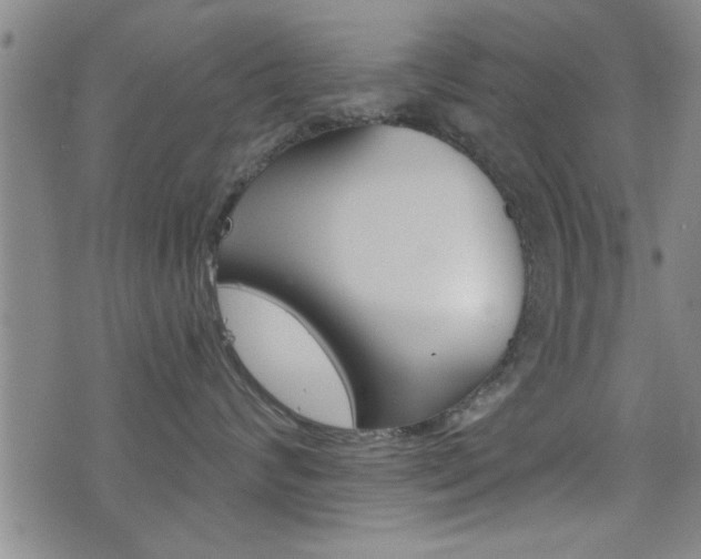 X0000077350624200610200917