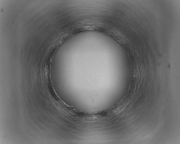 X0000077350646200610200916