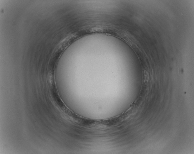 X0000077350648200610200916