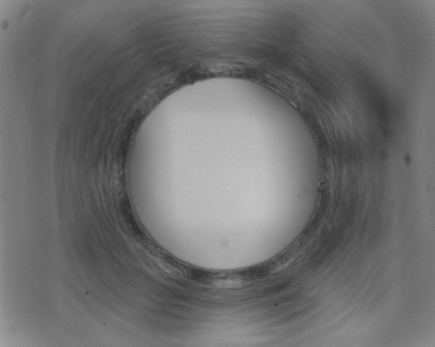 X0000077350653200610200916