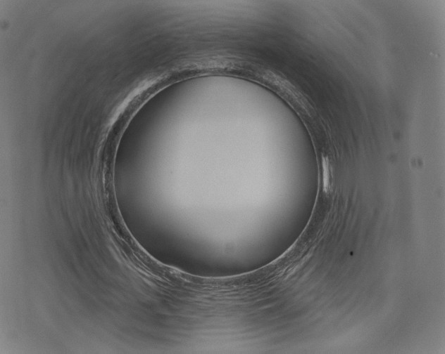X0000077350723200610200914