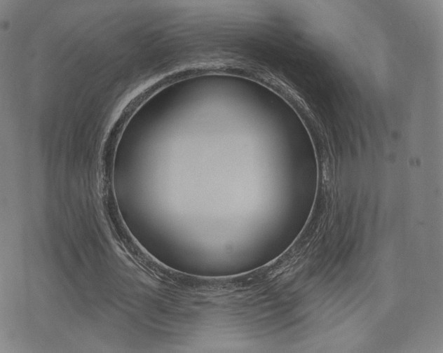 X0000077350724200610200914