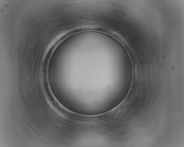 X0000077350726200610200914