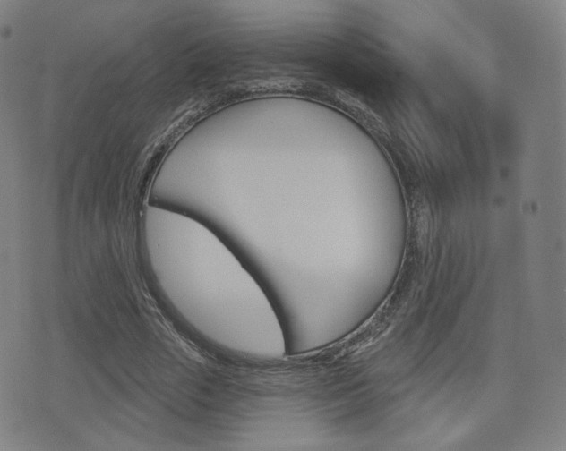 X0000077350729200610200914