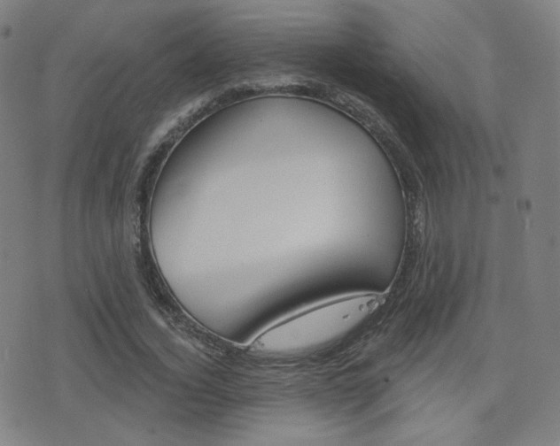 X0000077350732200610200914