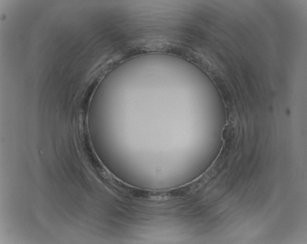 X0000077350744200610200915
