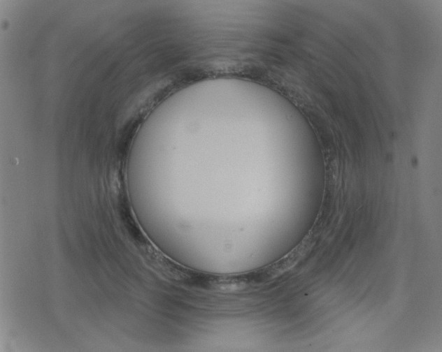 X0000077350746200610200915