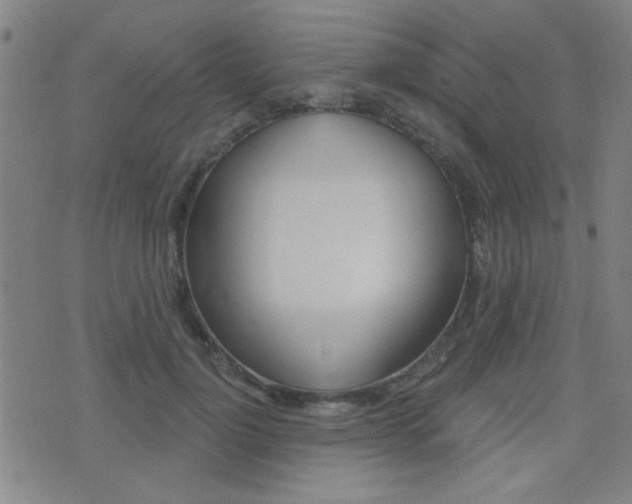 X0000077350748200610200915