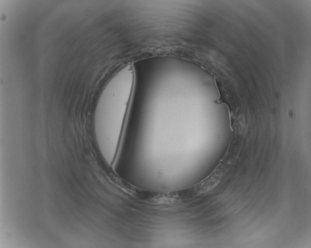 X0000077350756200610200915