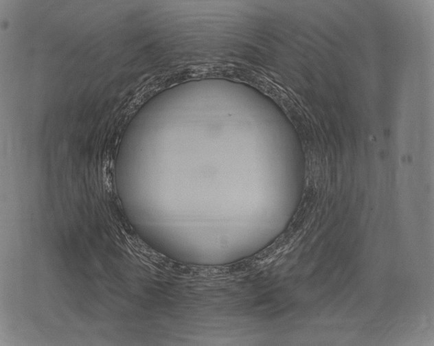 X0000077350770200610200914