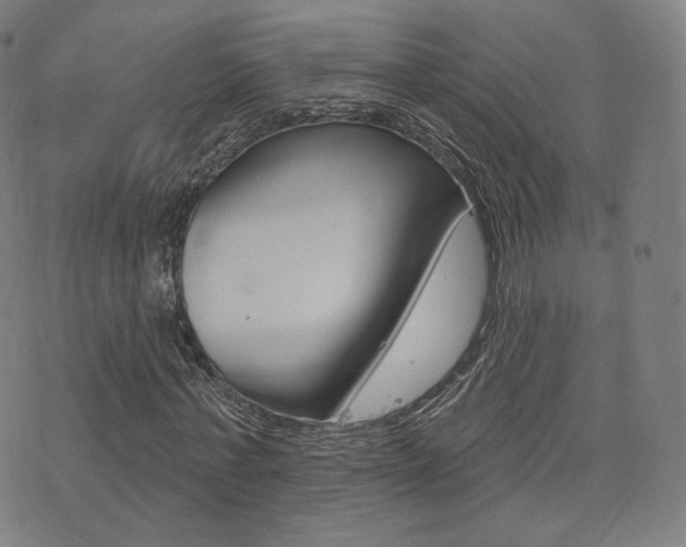 X0000077350771200610200914