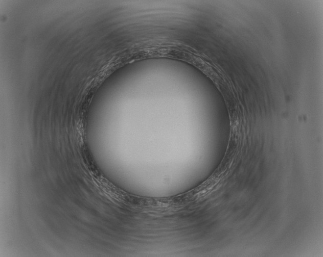 X0000077350772200610200914