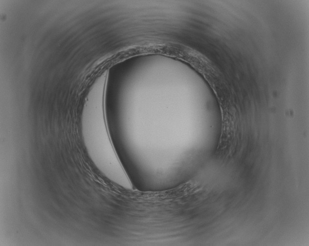 X0000077350773200610200914