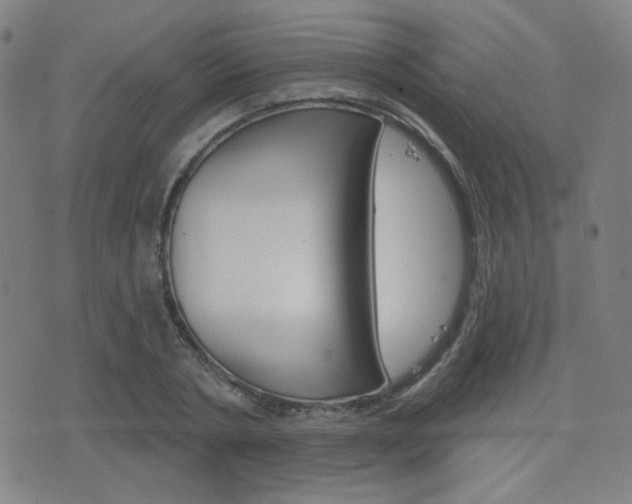 X0000077350786200610200914