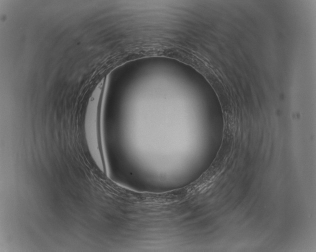 X0000077350818200610200913
