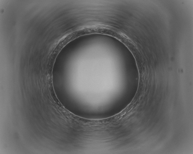 X0000077350822200610200913