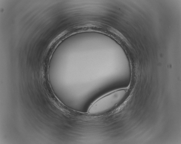 X0000077350826200610200913