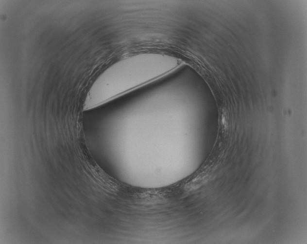 X0000077350867200610200913
