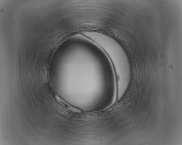 X0000077350868200610200913